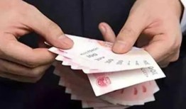 新用户白条额度解析与详情介绍