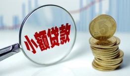 深圳24哪里可以小额贷款-深圳24哪里有民间借贷-深圳24民间短期私借借款